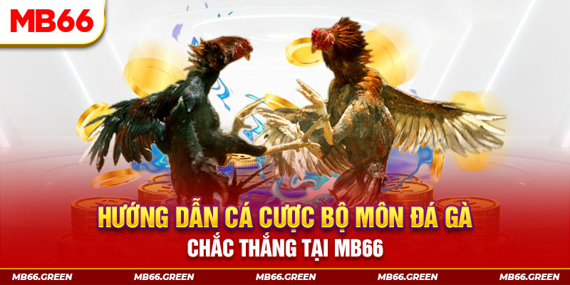 sao789 CQ9 Điện Tử