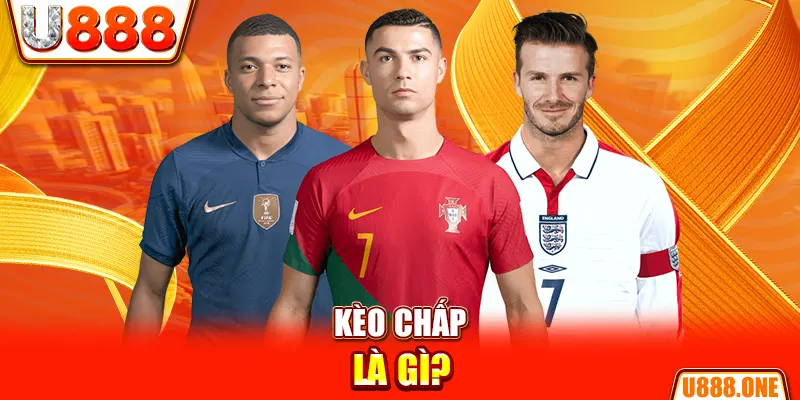 sao789 chổi lông gà