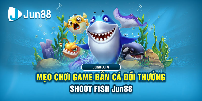 sao789 tai game danh bai bigkool ve may tinh