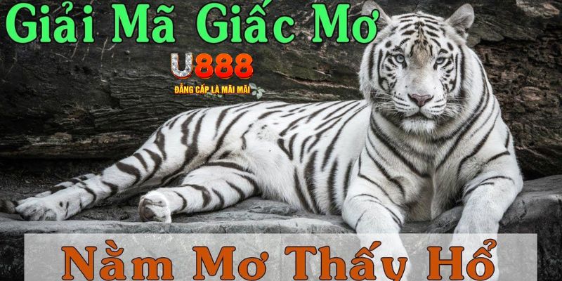 sao789 xổ số kiến thiết miền bắc