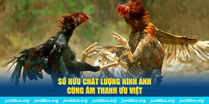 sao789 tai game danh bai ve may tinh
