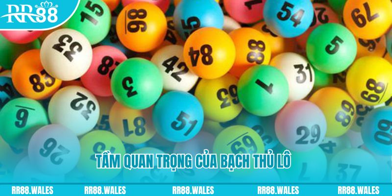 sao789 đá gà trực tiếp casino