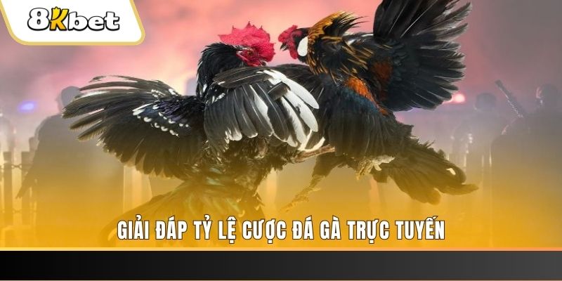 sao789 xổ số ba đài