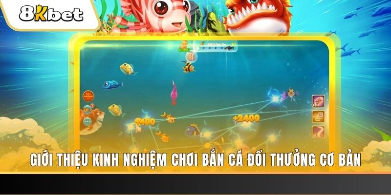 sao789 8 bí ẩn chơi nổ hũ ít ai biết