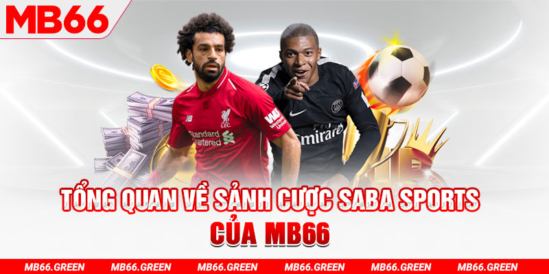 sao789 slot có nghĩa là gì