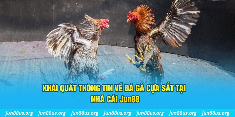sao789 game bài trên máy tính