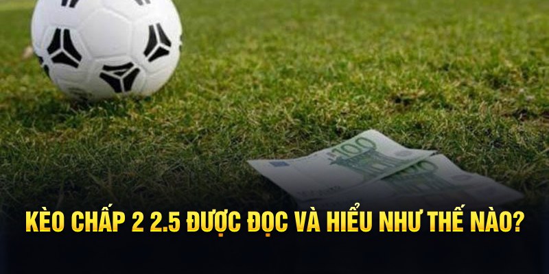 sao789 đá gà thomo